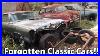 Abandoned-Junkyard-Filled-With-Forgotten-Classic-Cars-01-fiun