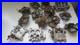 Vintage-GM-Quadrajet-Rochester-Car-V8-Carburetor-Parts-Lot-Vintage-Used-GM-IL-01-qbba