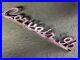 Vintage-chevy-Chevrolet-CORVAIR-95-Rampside-Nameplate-Logo-car-parts-3784666-USA-01-xfsf